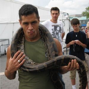 Meet your Posher, Hugo